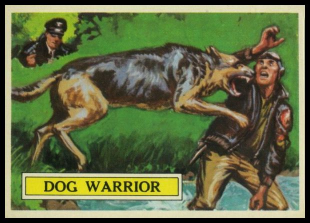 15 Dog Warrior